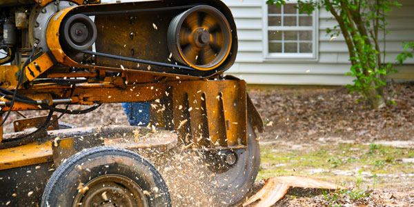 Tree Stump Grinding